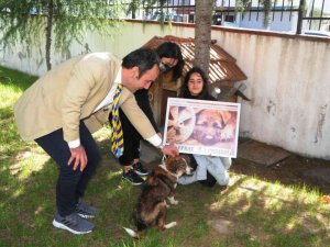 Öğrencilerin ’Bal’ı