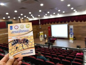 Büyükşehir’den Bal Gibi Eğitim: Arıcılık Eğitimi İçin Son Başvuru Tarihi 29 Nisan
