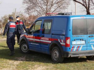 Sosyal Medyadan Deaş Propagandası Yapan Şahıs Gözaltına Alındı