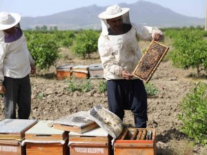 Sertifikalı Kursiyerler Hibe Arı İle Üretime Başladı