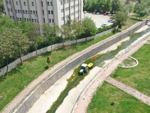 Şanlıurfa’da İlaçlama Seferberliği