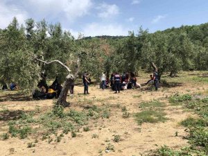 Çanakkale’de Son 4 Ayda Bin 195 Düzensiz Göçmen Yakalandı