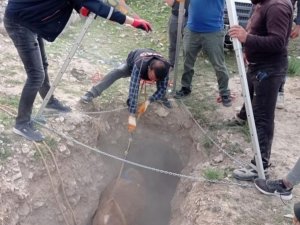 Kuyuya Düşen İnek, Afad Ekibi Tarafından Kurtarıldı