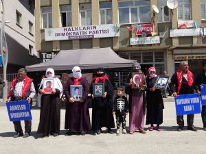 Dayısı İçin Evlat Nöbetine Katılan Barış Dost: “Pkk 13-14 Yaşındaki Çocukları Öldürttü”