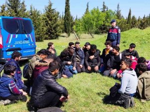 Kırklareli’nde 156 Kaçak Göçmen Yakalandı: 6 Organizatör Tutuklandı