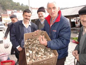 Köylüler Ormandan Topluyor, Kilogramı 300 Liradan Satılıyor
