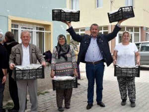Tepebaşı’ndan 12 Üreticiye 25 Bin Çilek Fidesi Desteği