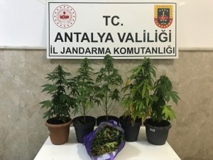 Evde Uyuşturucu İmal Eden 2 Şüpheli Yakalandı