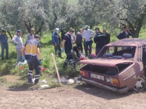 Otomobil Zeytinliğe Daldı: 2’si Çocuk 4 Yaralı