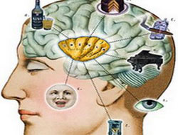 Zekanızı geliştirmeye ne dersiniz?