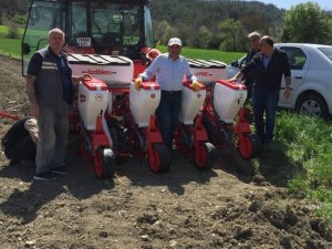 Yağlık Ayçiçeği Tohumları Toprakla Buluştu