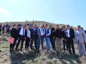 Sungurlu’da Ağaçlandırma Seferberliği Başlatıldı