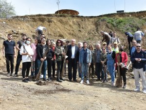 Veteriner Adayları Fidan Dikti