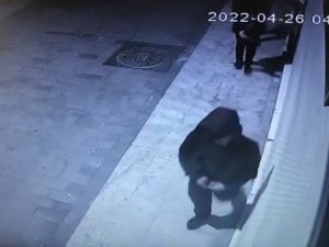 Sürüngen Hırsızlar Kamerada