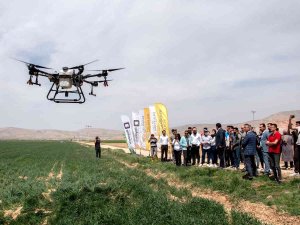 Sü Ziraat Fakültesi Çiftliğinde Drone İle İlaçlama Yapıldı