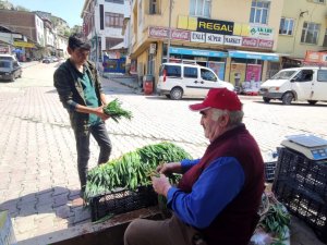 Dağdan Topladıkları Otlarla Geçimlerini Sağlıyorlar