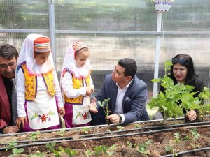 Başkan Tütüncü, Okul Serasına Çocuklarla Çilek Ekti