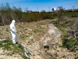 Sinop’ta İlaçlama Çalışması