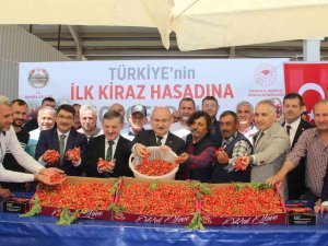 Fiyat Beklentisi 30 Tl