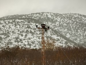 Aedaş, Ramazan Bayramı’nda Sahadaki Personel Sayısını Yüzde 20 Arttıracak