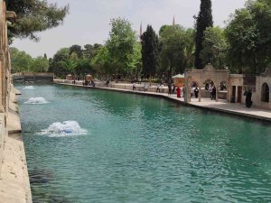 Balıklıgöl’deki Balık Ölümleri Araştırılıyor