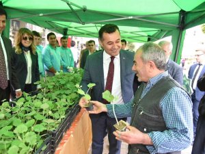 Vatandaşlara Su Kabağı Fidesi Dağıtacak