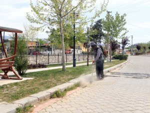 Pamukkale Yazı Rengarenk Karşılayacak