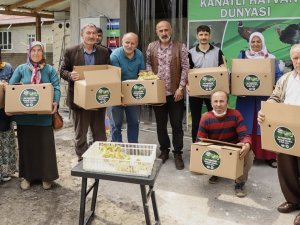 Çarşamba’da Üreticiye 2 Bin Kaz Yavrusu Desteği