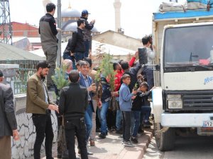 Karlıova’da 10 Bin Adet Fidan Dağıtıldı