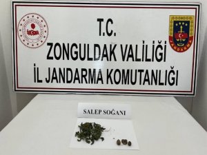 Jandarma Şüphelendiği Araçta 2 Adet Salep Soğanı Ele Geçirdi