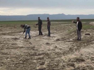 Muş’ta Tarım Arazileri Su Altında Kaldı