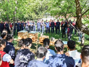 Ankara İ̇tfaiyesi “Arı Timi” Kurdu