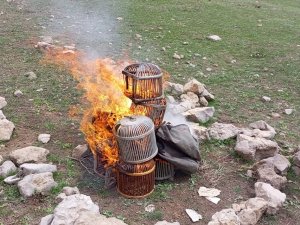 Şırnak’ta Kınalı Keklikler Doğaya Bırakıldı, Kafesleri Yakıldı