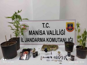 Yasadışı Kenevir Eken Şahıslara Operasyon