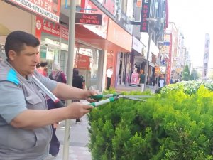 Sincan’da Ağaçlar Budanıyor, Çocuk Oyun Alanlarının Gerekli Bakımları Yapılıyor