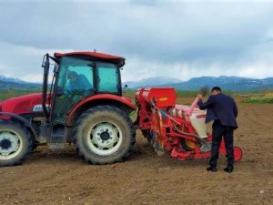 Erzincan’da Ayçiçeği Tohumları Toprakla Buluştu
