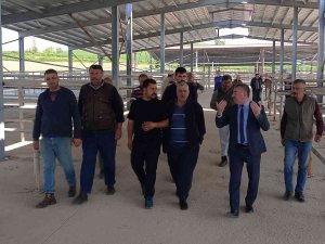 Bölgenin En Büyük Canlı Hayvan Pazarlarından Biri Açılıyor