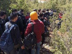 Muğla’da Son 4 Ayda 2311 Düzensiz Göçmen Yakalandı