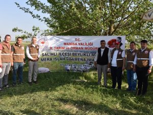 Salihli’de Islah Edilen Meralar Kullanıma Açıldı