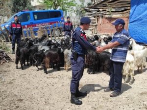 Ormanlık Alanda Kayboldular, Jandarma Dronla Buldu