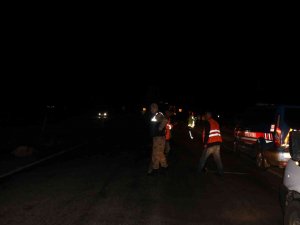 Siverek’te Tanker Koyun Sürüsüne Daldı: 22 Koyun Telef Oldu, Çoban Yaralandı