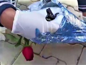 Kırmızı Gülün Altından Uyuşturucu Çıktı