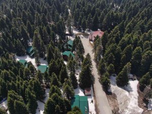 Uludağ’ın Orman Köşkleri Bayram Ve Yaza Hazır