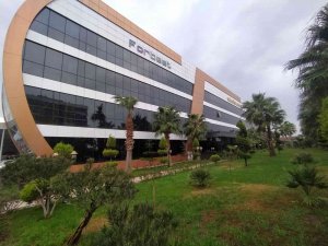 Forbest, Dünya Markası Oluyor