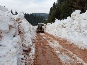 Nisan Ayında Kar Mesaisi