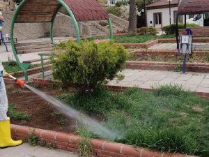 Park Ve Bahçeler Keneye Karşı İlaçlanıyor