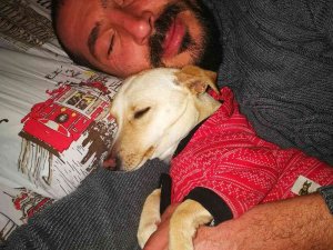 Ölen Köpeğinin Ardından Hukuk Mücadelesi Başlattı