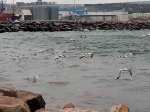 Bandırma’da Üç Gün Fırtınanın Etkili Olması Bekleniyor
