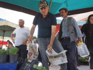 Sarıgöl’de Sebze Fidan Satışlarında Önemli Artış
