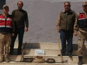 Salep Soğanı Toplayan 8 Kişiye 872 Bin Lira Ceza